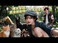這部新劇也太好笑了吧!爆笑穿越從精神病院到荒島生存,能聽動物心聲,動物一個比一個奇葩,笑場不斷。看得叫人太爽了!