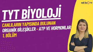 13 Tyt Biyoloji - Canlıların Yapısında Bulunan Organik Bileşikler Atp Ve Hormonlar 1. Bölüm