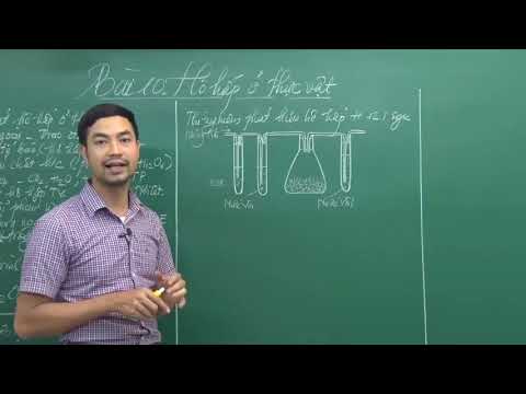 Video Bài giảng Hô hấp ở thực vật - Sinh học Lớp 11 - Thầy... - youtube