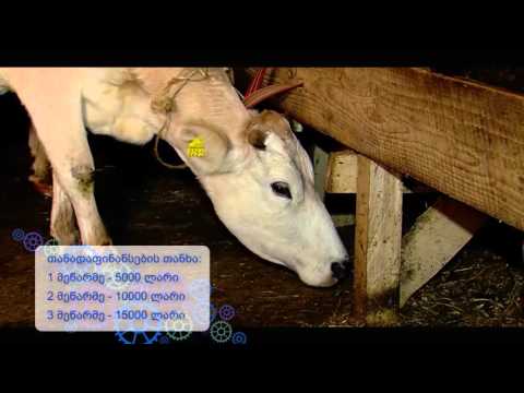 პროგრამის \"აწარმოე საქართველოში\" წარმატების ისტორიები