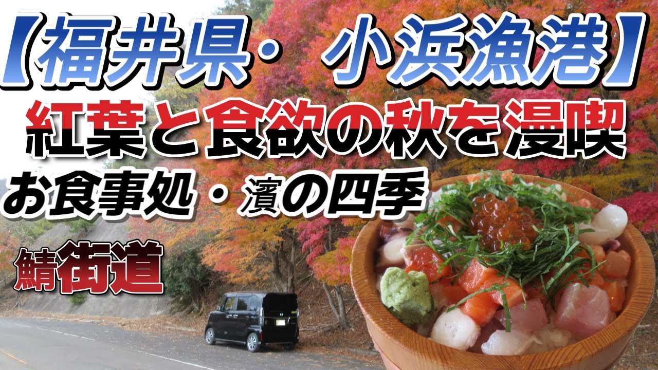 福井県・小浜漁港～鯖街道へ　(鯖寿司と美味しい濱盛り丼）(^^)/