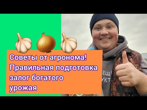 ЛУК И ЧЕСНОК ПОД ЗИМУ! Подробная инструкция в этом ролике!