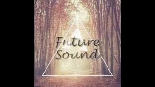 Jump Around Propaganda (Dj snake vs House Of Pain vs W&W)(Future Sound Remix)