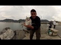 Pesca a fondo, Orate al Molo Italia di La Spezia... bella pescata questa