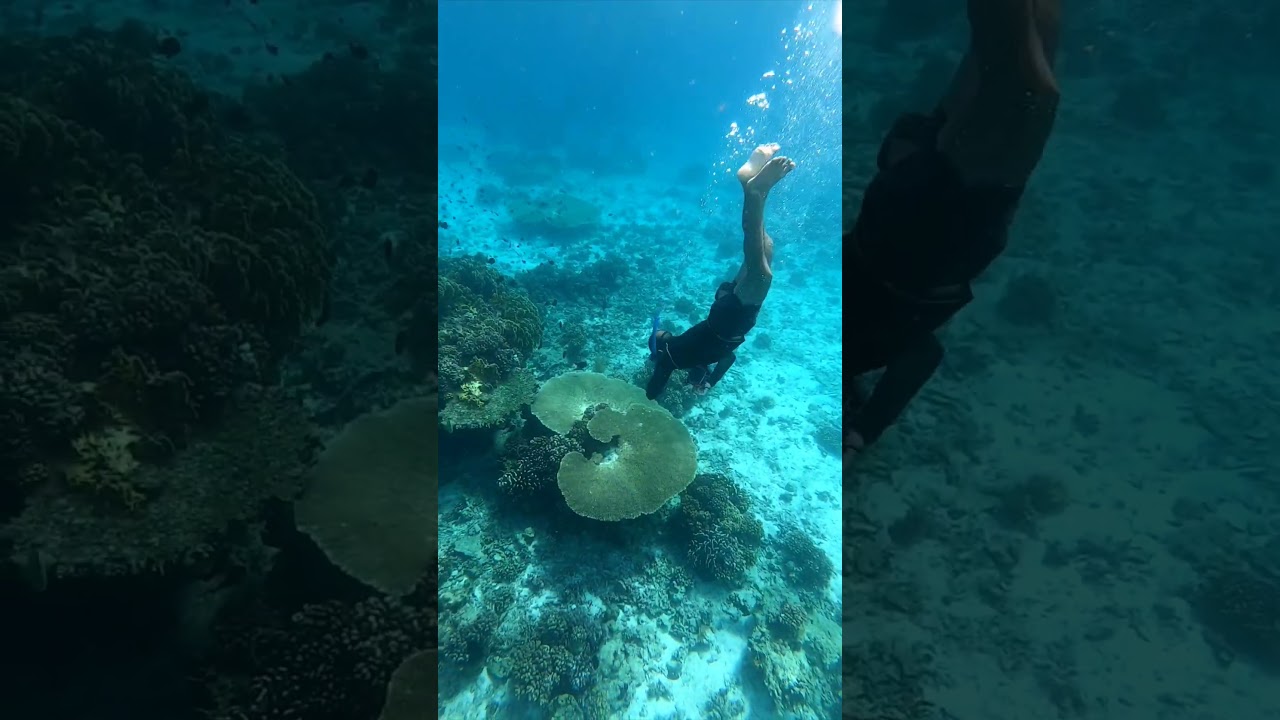 you're the best 💙 