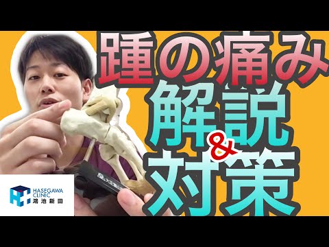 【PT・OT監修　解説付き】かかとの痛みについて解説&対策