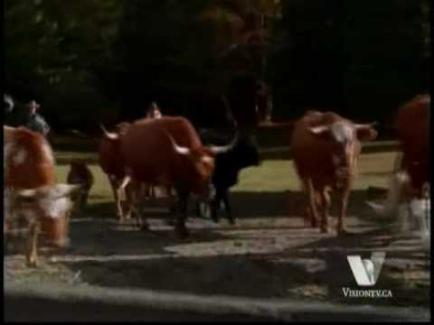 Yannick Bisson - Nothing too Good for a Cowboy - H...