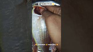 💁🐬kasimedu fishmarket #kasimedu#fish#shorts#viral  #fishing#chennaiyinmeenvlog #freshfish#vanagaram