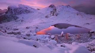 Marika Takeuchi.  The Arctic Light