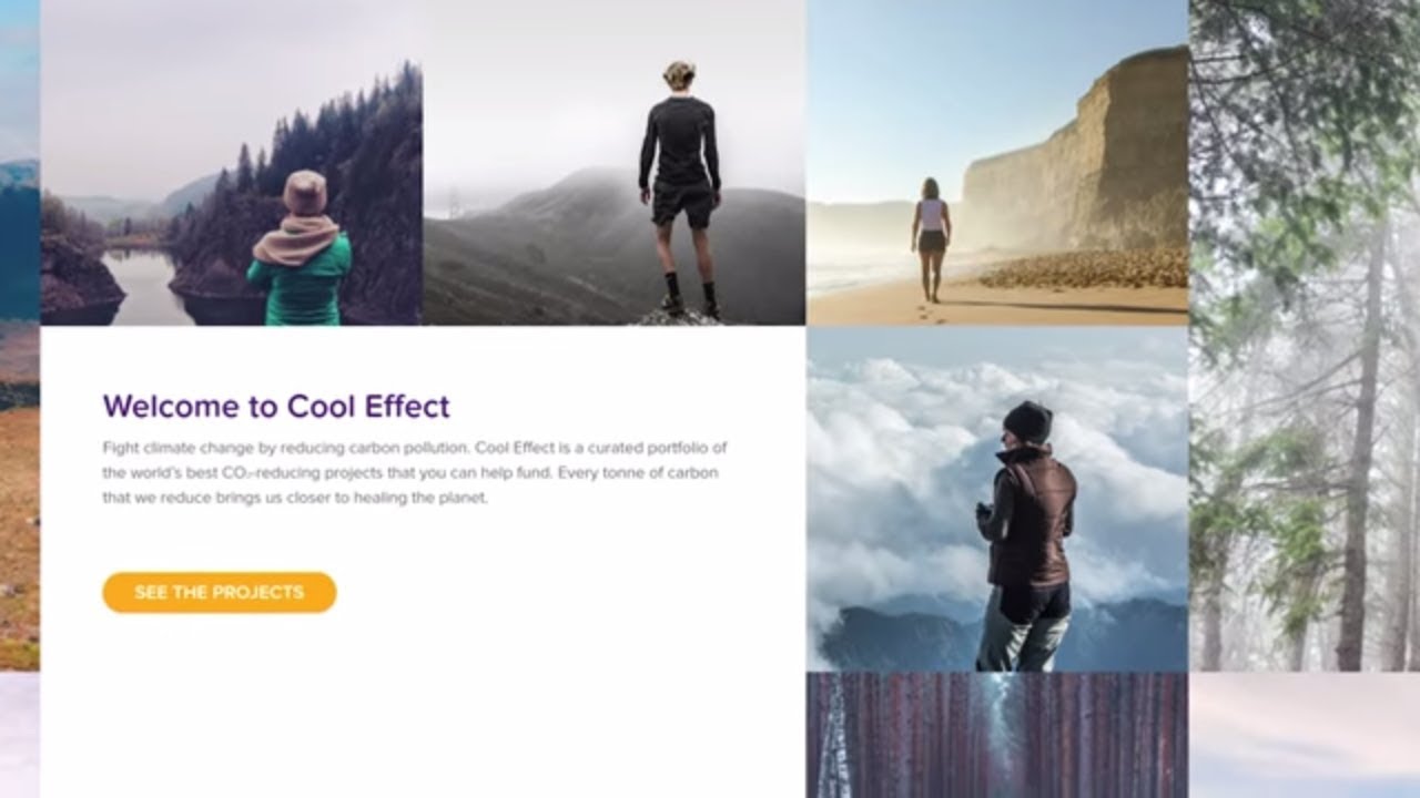 Make A Difference In The Climate Change Fight With These Projects