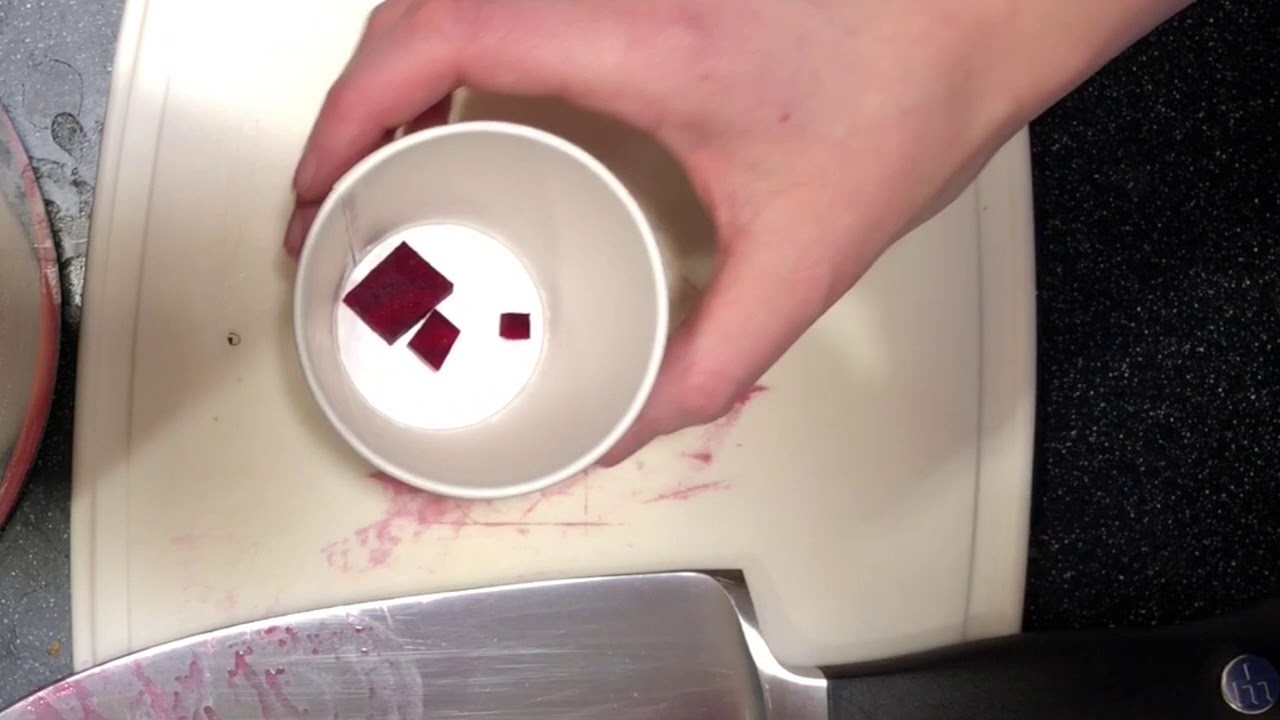 Cell Size with Beets Lab YouTube