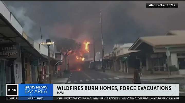 Fires fueled by strong winds tear across Maui, causing widespread havoc