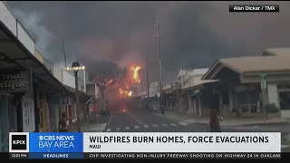 Fires fueled by strong winds tear across Maui, causing widespread havoc