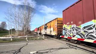 (MEC)(Pan-Am)#503,(CSX)#5976 @Muirfield Rd,Falmouth Maine((04/29/24)