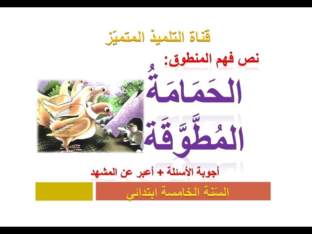 نص فهم المنطوق: الحمامة المطوقة (+ أجوبة عن الأسئلة) للسنة الخامسة ابتدائي