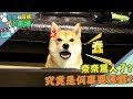 【奈奈阿楞小劇場xROG】奈奈罵人了?究竟是何事要罵蠢?!