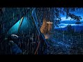Rainy Forest Camping | Sleep Instantly with Nature Sounds, No Music