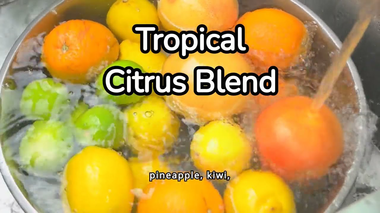 Tropical Citrus Blend/Water Infused Drink/Health Drink