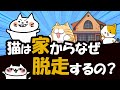 猫が脱走する3つの大きな理由と脱走対策を解説!