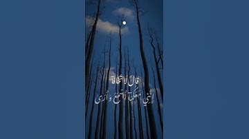 قَالَ لَا تَخَافَآۖ إِنَّنِي مَعَكُمَآ أَسۡمَعُ وَأَرَىٰ || سورة طه القارئ محمد ديبيروف