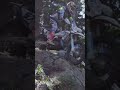 #ктм #enduro #motocross #motosport #мотоспорт #redbullromaniacs #прохват