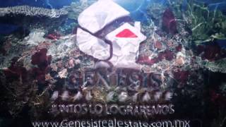 Genesis logo 5