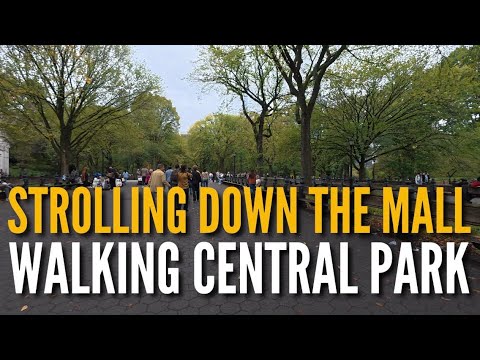 🌳 The Mall & Literary Walk, Central Park | Iconic Tree-Lined Promenade 🌳