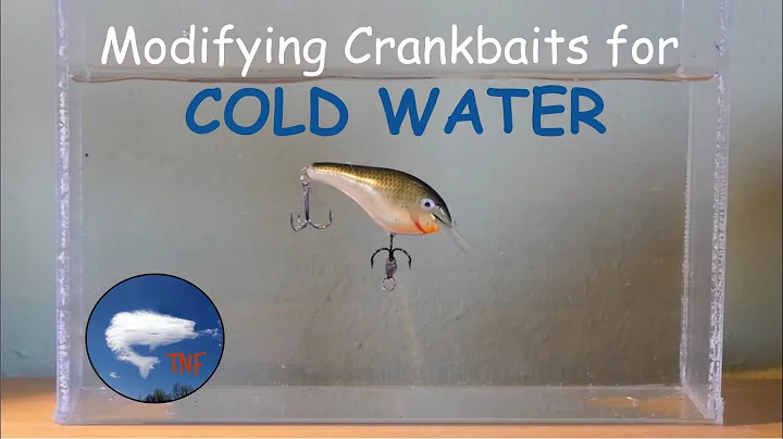 Cold Water Crankbaits for Bass Fishing