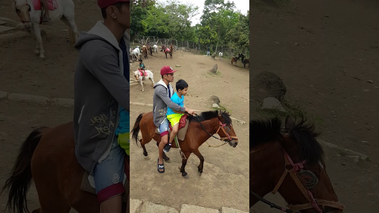 Horseback riding Picnic Grove 03.10.18 YouTube