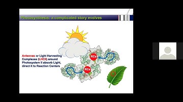High Performance Computing in Structural Biology