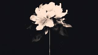 Rhododendron | Royalty Free Background Music | (Eerie Japanese Music Box)