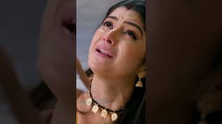 প্রথম দশটি স্থানে রয়েছে আঠারোটি মেগা | News ADSI |