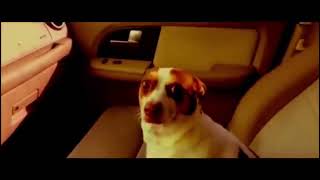 Mr bubz - Into the realm of fire