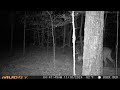 ol public land buck that disappeared