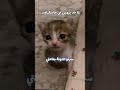 سرقو التونة بتاعتي
