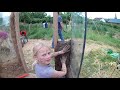 2 chantier participatif chez les enfants de la terre permaculture