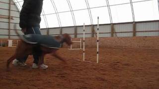 Weaves.wmv