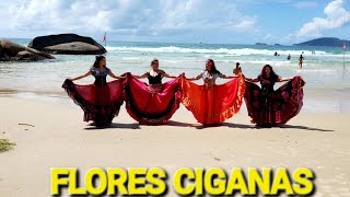 Grupo De Dança Cigana Flores Ciganas - Professora Carmem Rosca