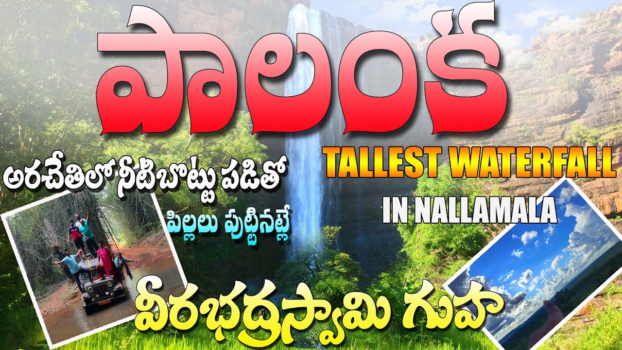 #palanka veerabhadra swamy. palanka waterfall. Life style of chenchu tribe in nallamala. Palutla