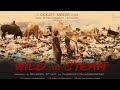 WILD with STEAM | Kids Documentary