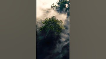 Forest blend with clouds scene #blender #scene #forests #shorts