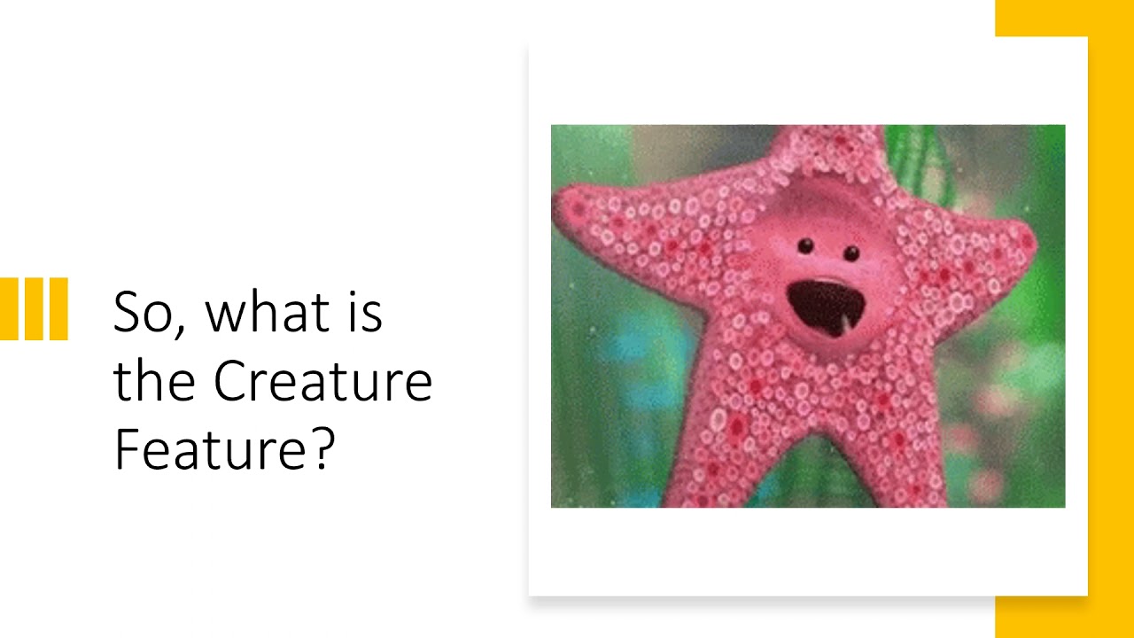 Culcita novaeguineae