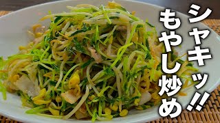シャキシャキ食感！絶対に水っぽくならない【もやし炒め】の作り方