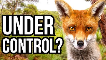 5 Invasive Species Populations That Have MOSTLY Been Controlled