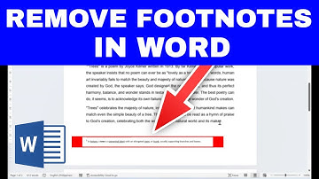 How to REMOVE FOOTNOTES in WORD (On Some or All Pages)