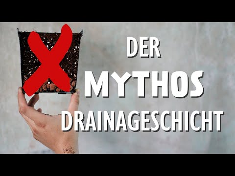 Video: Sollen Blumentöpfe Löcher haben?