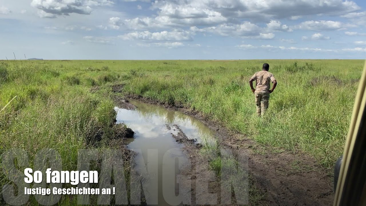 Schlammschlacht in der Serengeti