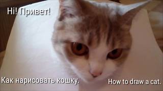 Как нарисовать кошку (прикол) | How to paint a cat (joke) 🐈😸🐱 Как нарисовать кошку (прикол) | How to paint a cat (joke) 🐈😸🐱