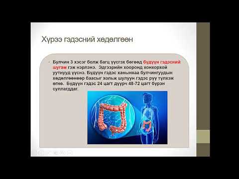 Видео: Яагаад дутуу хоол боловсруулалт үүсдэг вэ?