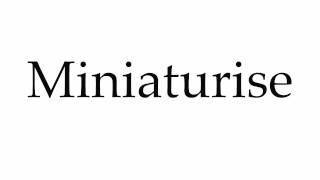 How To Pronounce Miniaturise